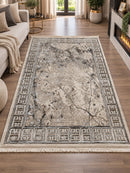 Covor oligarch, grey/ vizon, Living, Dormitor, COD: 09C